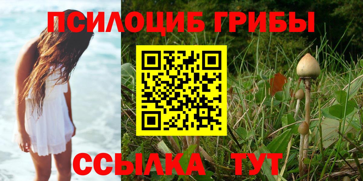 Псилоцибиновые грибы MAGIC MUSHROOMS Владимир