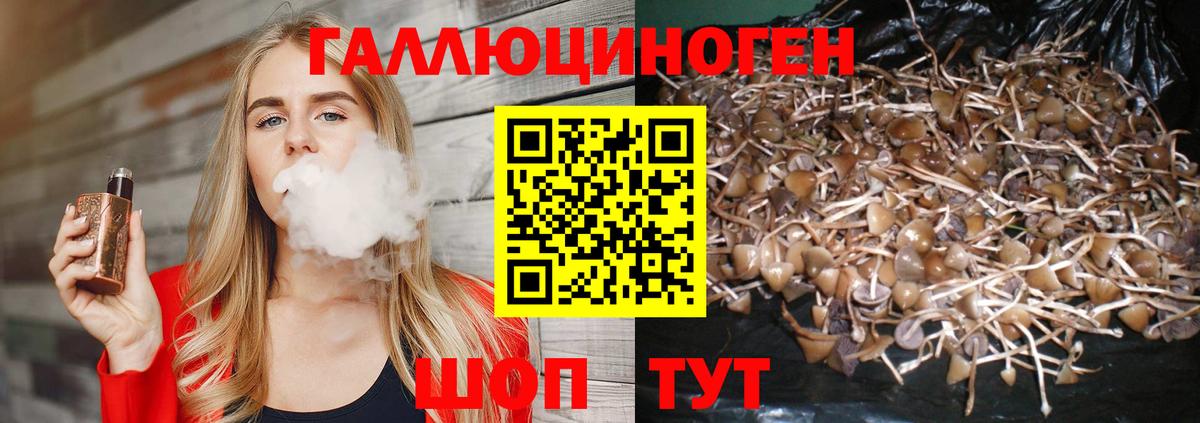 Галлюциногенные грибы GOLDEN TEACHER  дарнет шоп  Владимир  Вход с VPN 