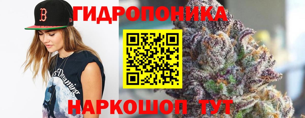 Бошки Шишки план Владимир